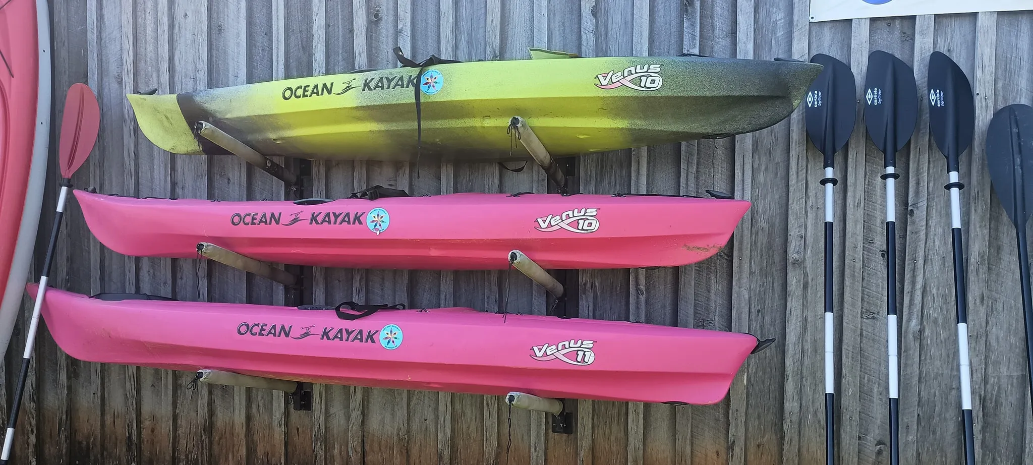 download - 2025-10-13T141807.676