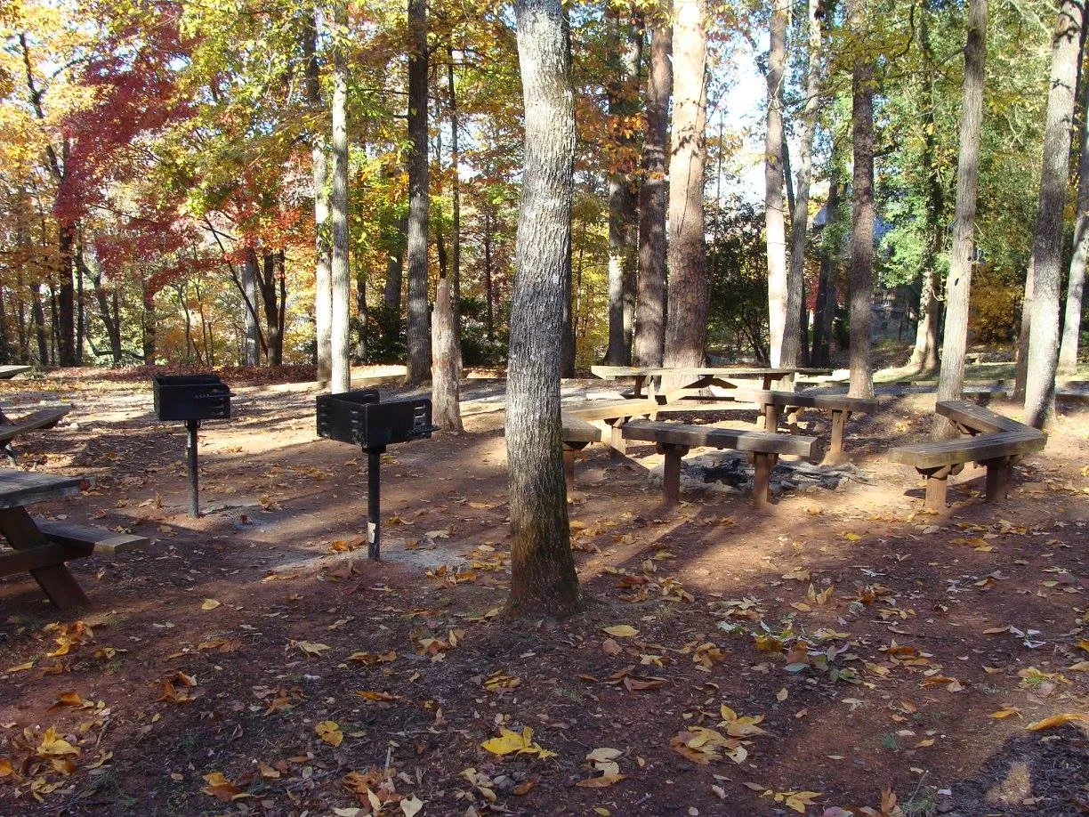 download - 2025-10-13T141833.955